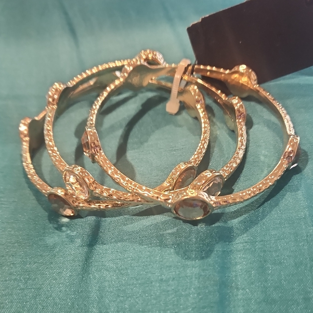 Elegant Gold Hoop Earrings